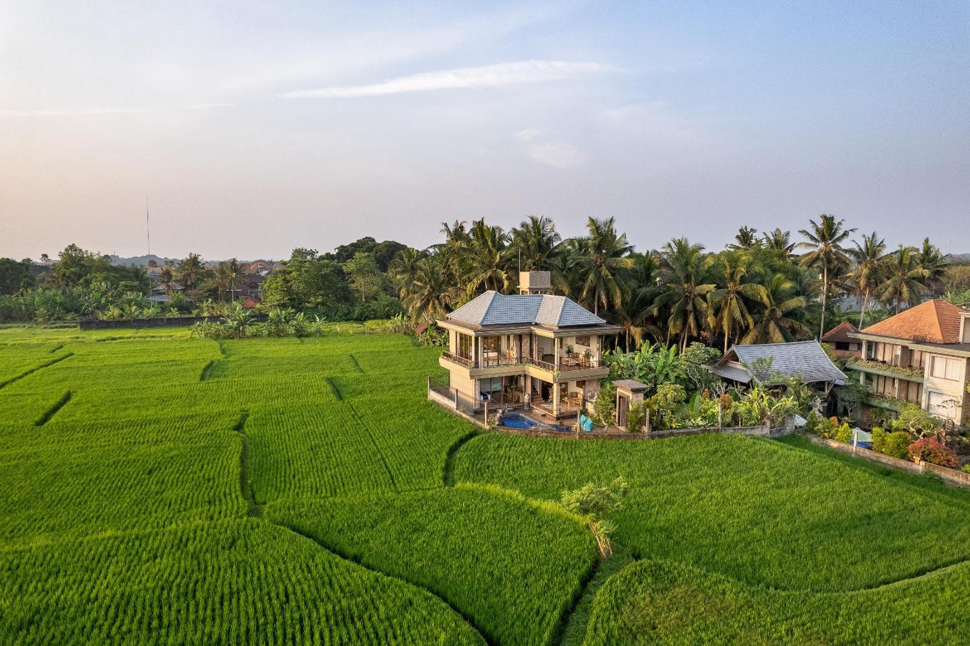 Gynandha Ubud Cottage Exteriör bild