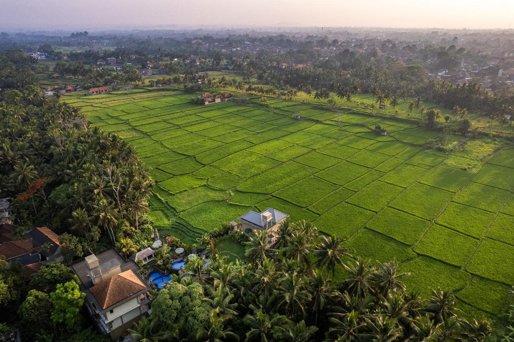 Gynandha Ubud Cottage Exteriör bild