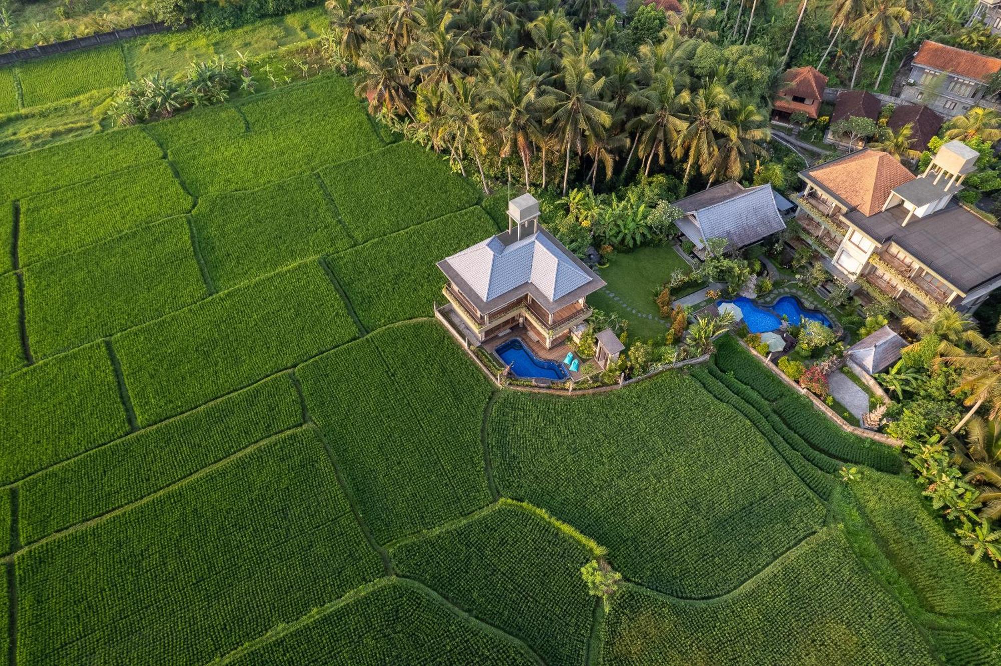 Gynandha Ubud Cottage Exteriör bild