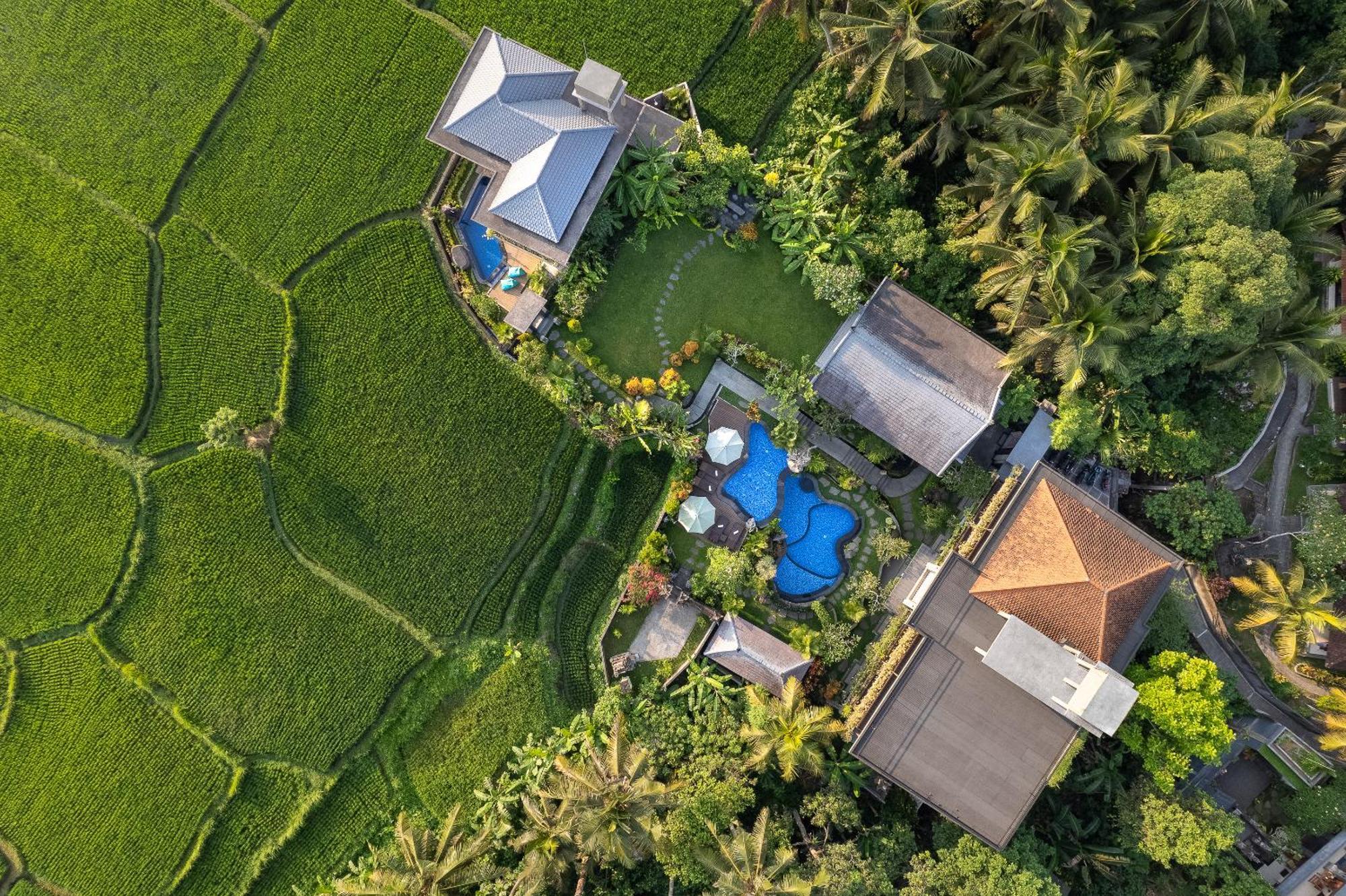 Gynandha Ubud Cottage Exteriör bild