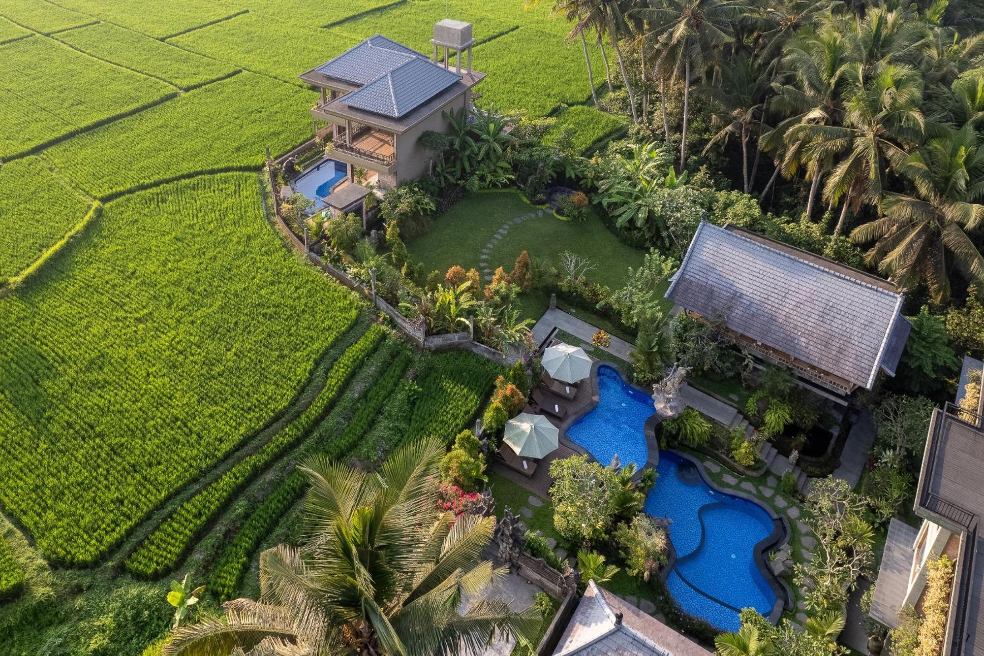 Gynandha Ubud Cottage Exteriör bild